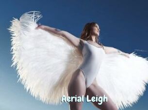 Aerial_Leigh