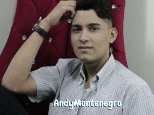 AndyMontenegro