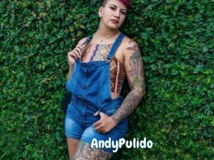 AndyPulido