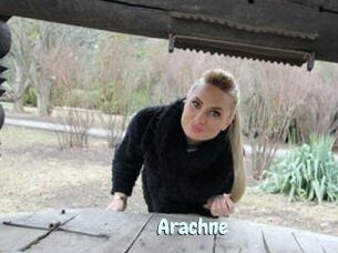 Arachne