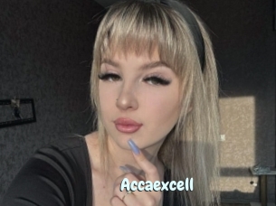 Accaexcell