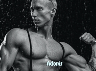 Adonis