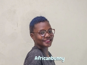 Africanbunny