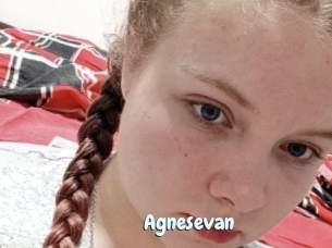 Agnesevan