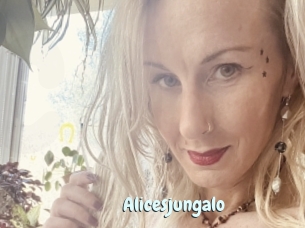 Alicesjungalo