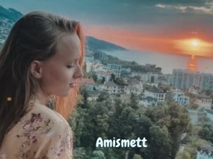 Amismett