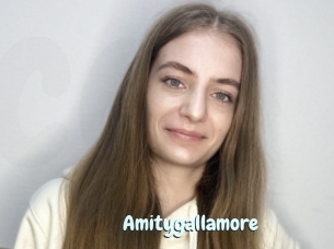 Amitygallamore