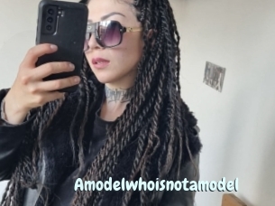 Amodelwhoisnotamodel