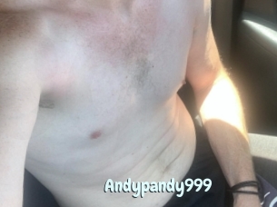 Andypandy999