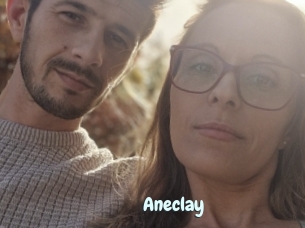 Aneclay