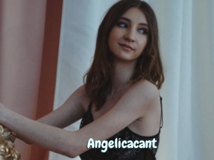 Angelicacant