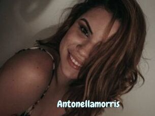 Antonellamorris