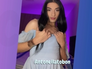 Antonellatobon