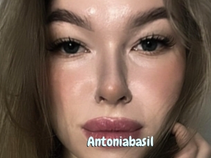 Antoniabasil