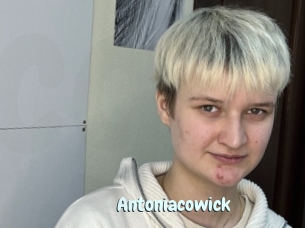 Antoniacowick