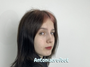 Antoniacrofoot