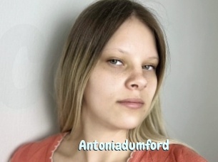 Antoniadumford