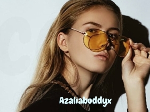 Azaliabuddyx