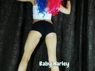 Baby_Harley