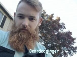 Beardedginger