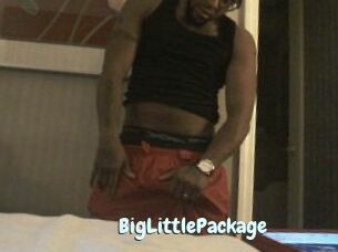 BigLittlePackage