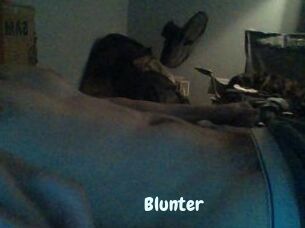 Blunter