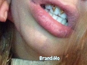 BrandiHo