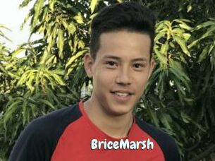 BriceMarsh