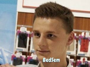 BedSem