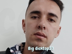 Big_dicktop23