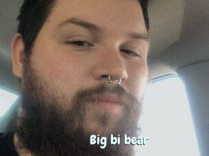 Big_bi_bear