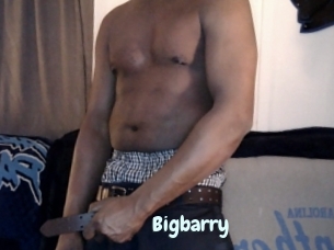 Bigbarry