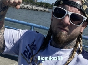 Bigmikesfit