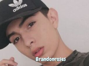 Brandonroses