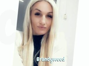 Brandyweed