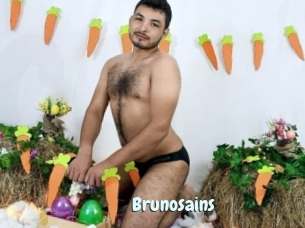 Brunosains