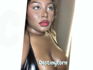 Destinytorn