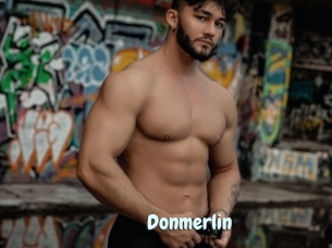 Donmerlin