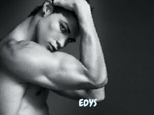 EDYS