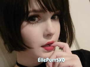 EllePurrsXO