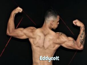 Eddycolt