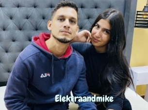 Elektraandmike