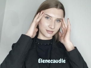 Elenecaudle