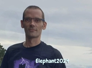 Elephant2024