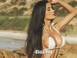 Elisa_koe