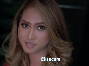 Elisecam