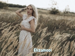 Elizamool