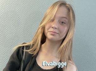 Elvabigge