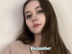 Elviaamber