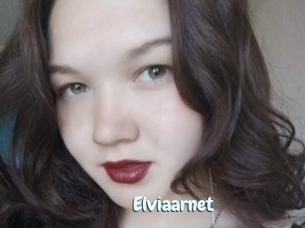 Elviaarnet